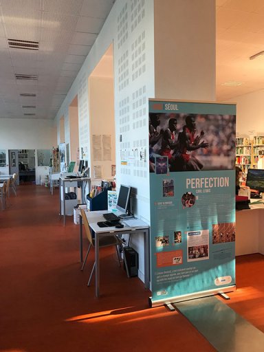 Exposition Histoire, Sport & Citoyenneté - Bibliothèque universitaire de l’Inspé d’Angers 